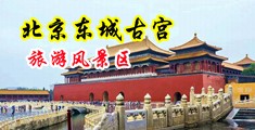 白虎美女自慰淫水喷出来在线观看中国北京-东城古宫旅游风景区